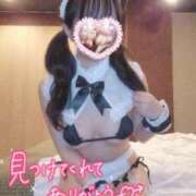 ヒメ日記 2026/04/02 16:04 投稿 ありす i-doll（あいどーる）