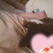 ヒメ日記 2026/05/17 06:54 投稿 ありす i-doll（あいどーる）