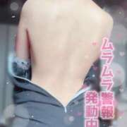 ヒメ日記 2026/03/11 15:24 投稿 もも i-doll（あいどーる）