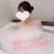 ヒメ日記 2026/03/06 23:37 投稿 えれん 美少女制服学園CLASSMATE　五反田校