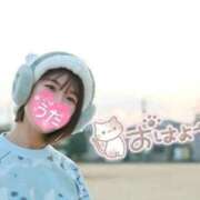 ヒメ日記 2026/02/02 10:34 投稿 うた i-doll（あいどーる）