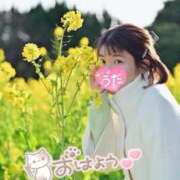 ヒメ日記 2026/02/06 15:44 投稿 うた i-doll（あいどーる）