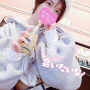 ヒメ日記 2026/02/13 08:14 投稿 うた i-doll（あいどーる）