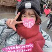 ヒメ日記 2026/02/21 17:19 投稿 うた i-doll（あいどーる）