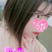 ヒメ日記 2026/02/23 11:54 投稿 うた i-doll（あいどーる）