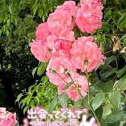 ヒメ日記 2026/03/06 13:04 投稿 うた i-doll（あいどーる）