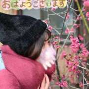 ヒメ日記 2026/03/08 04:14 投稿 うた i-doll（あいどーる）