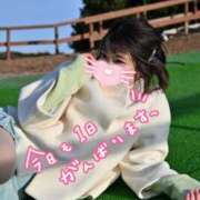 ヒメ日記 2026/03/08 12:20 投稿 うた i-doll（あいどーる）