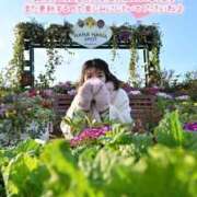 ヒメ日記 2026/03/08 12:49 投稿 うた i-doll（あいどーる）