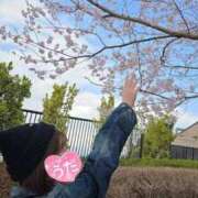 ヒメ日記 2026/03/10 16:14 投稿 うた i-doll（あいどーる）