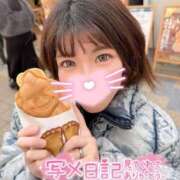 ヒメ日記 2026/03/15 10:14 投稿 うた i-doll（あいどーる）