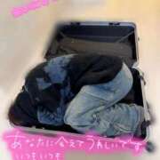 ヒメ日記 2026/03/16 06:04 投稿 うた i-doll（あいどーる）