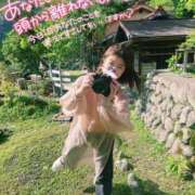 ヒメ日記 2026/03/22 04:04 投稿 うた i-doll（あいどーる）