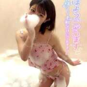 ヒメ日記 2026/03/23 12:44 投稿 うた i-doll（あいどーる）