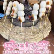 ヒメ日記 2026/03/27 12:14 投稿 うた i-doll（あいどーる）