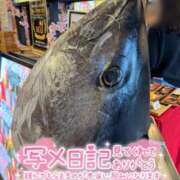 ヒメ日記 2026/03/29 08:09 投稿 うた i-doll（あいどーる）