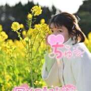 ヒメ日記 2026/03/29 12:04 投稿 うた i-doll（あいどーる）