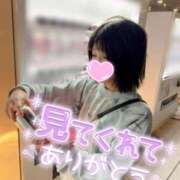 ヒメ日記 2026/04/01 22:20 投稿 うた i-doll（あいどーる）