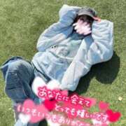 ヒメ日記 2026/04/02 12:15 投稿 うた i-doll（あいどーる）