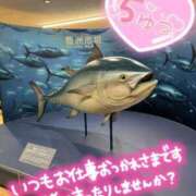 ヒメ日記 2026/04/02 15:14 投稿 うた i-doll（あいどーる）