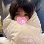 ヒメ日記 2026/04/02 19:18 投稿 うた i-doll（あいどーる）