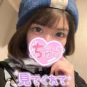 ヒメ日記 2026/04/04 19:19 投稿 うた i-doll（あいどーる）