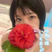 ヒメ日記 2026/04/07 11:34 投稿 うた i-doll（あいどーる）