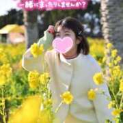 ヒメ日記 2026/04/08 08:04 投稿 うた i-doll（あいどーる）