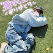 ヒメ日記 2026/04/08 11:54 投稿 うた i-doll（あいどーる）