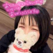 ヒメ日記 2026/04/09 09:06 投稿 うた i-doll（あいどーる）