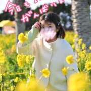 ヒメ日記 2026/04/10 12:06 投稿 うた i-doll（あいどーる）