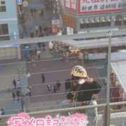 ヒメ日記 2026/04/10 21:04 投稿 うた i-doll（あいどーる）