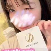 ヒメ日記 2026/04/11 16:44 投稿 うた i-doll（あいどーる）