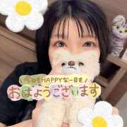 ヒメ日記 2026/04/12 08:04 投稿 うた i-doll（あいどーる）