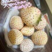 ヒメ日記 2026/04/12 15:56 投稿 うた i-doll（あいどーる）