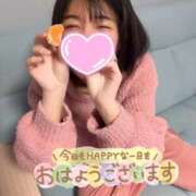 ヒメ日記 2026/04/14 08:17 投稿 うた i-doll（あいどーる）