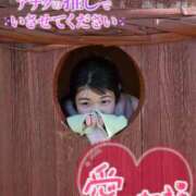 ヒメ日記 2026/04/16 22:44 投稿 うた i-doll（あいどーる）