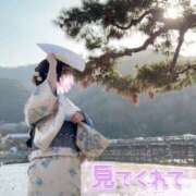 ヒメ日記 2026/04/20 08:04 投稿 うた i-doll（あいどーる）