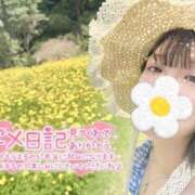 ヒメ日記 2026/04/21 15:14 投稿 うた i-doll（あいどーる）