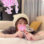 ヒメ日記 2026/04/23 14:24 投稿 うた i-doll（あいどーる）