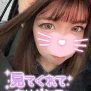 ヒメ日記 2026/04/24 12:04 投稿 うた i-doll（あいどーる）