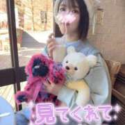 ヒメ日記 2026/04/25 15:14 投稿 うた i-doll（あいどーる）