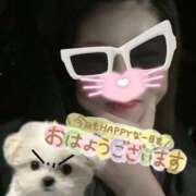 ヒメ日記 2026/04/26 08:14 投稿 うた i-doll（あいどーる）