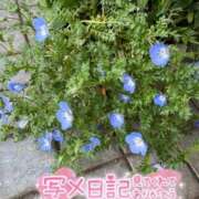 ヒメ日記 2026/04/28 12:14 投稿 うた i-doll（あいどーる）