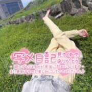 ヒメ日記 2026/04/30 12:04 投稿 うた i-doll（あいどーる）