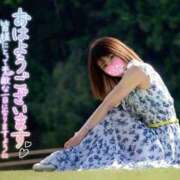 ヒメ日記 2026/05/06 11:48 投稿 うた i-doll（あいどーる）