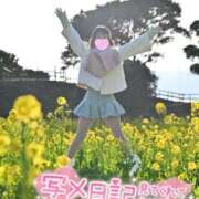ヒメ日記 2026/05/06 12:32 投稿 うた i-doll（あいどーる）