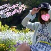 ヒメ日記 2026/05/11 15:46 投稿 うた i-doll（あいどーる）