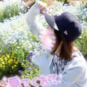 ヒメ日記 2026/05/12 23:34 投稿 うた i-doll（あいどーる）