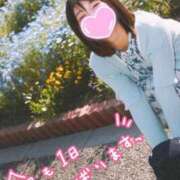 ヒメ日記 2026/05/13 12:24 投稿 うた i-doll（あいどーる）
